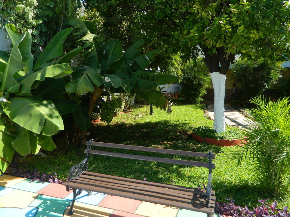 Hotel Colon Mérida Dış mekan fotoğraf