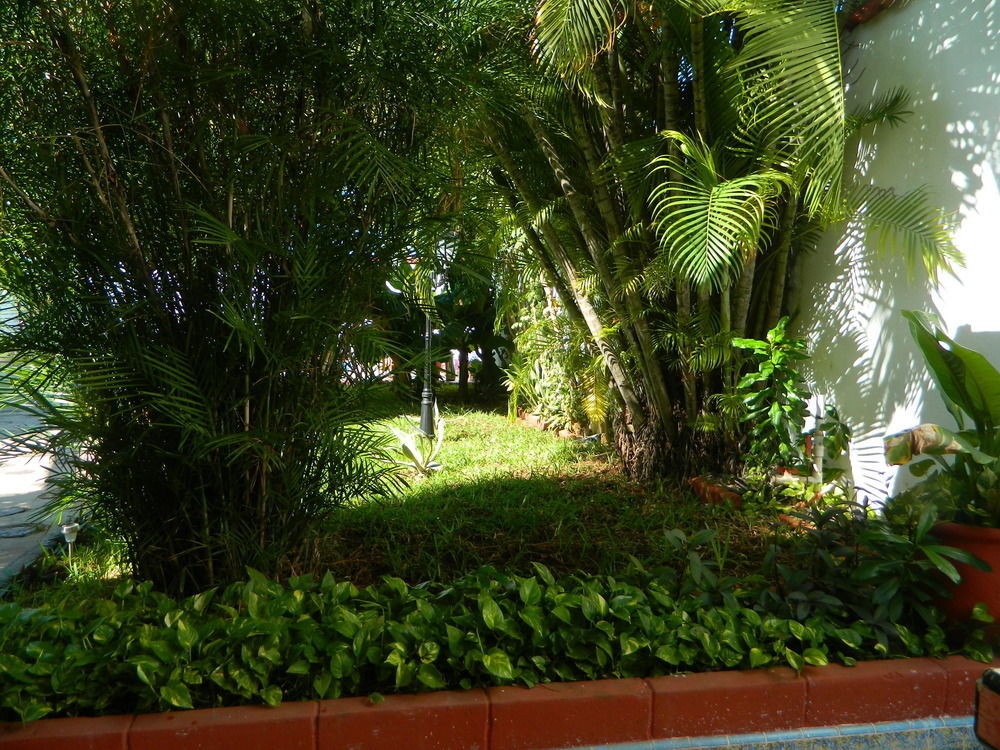 Hotel Colon Mérida Dış mekan fotoğraf